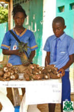 Student-grown pineapple and sweet potatoes