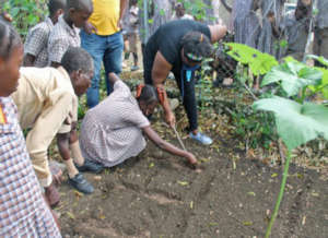 Planting seeds