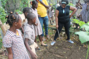 Preparing the garden