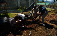 Field preparation of the nursery