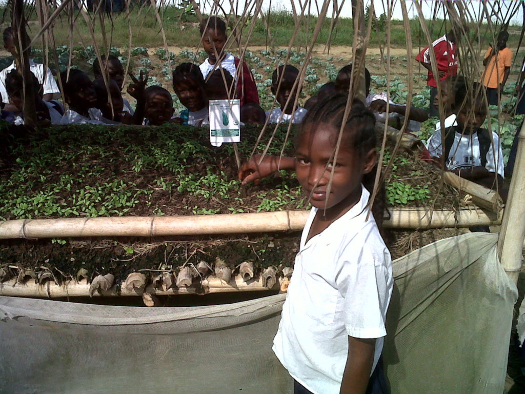 Seeds and Support for School Gardens Worldwide