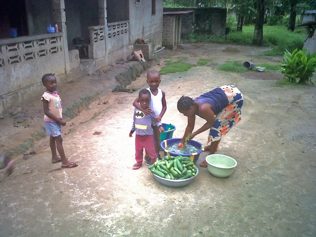 Seeds and Support for School Gardens Worldwide