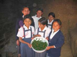 Peru Salad