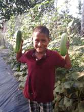 Boy cukes