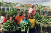 Seeds and Support for School Gardens Worldwide