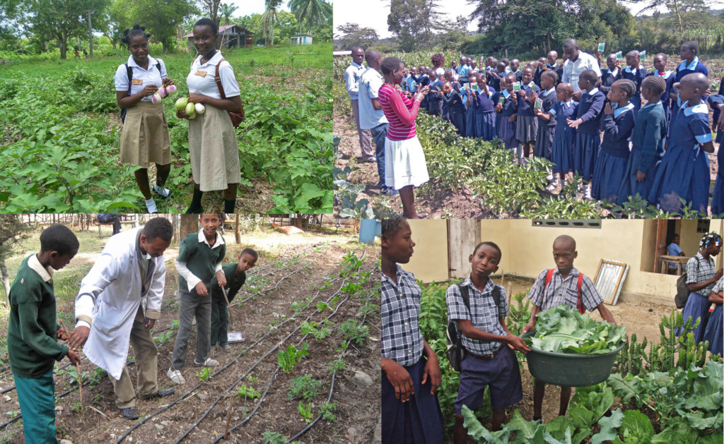 Students in Liberia, Kenya, Haiti, Ethiopia (CW)