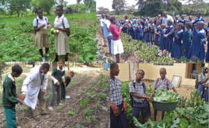 Students in Liberia, Kenya, Haiti, Ethiopia (CW)