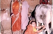 Sustainable livelihood for 200 families in Orissa