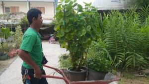 One of our new gardeners