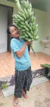 Almost too heavy to carry!