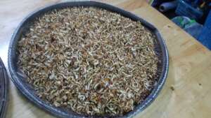 Banana stems chopped and dried, for the garden.