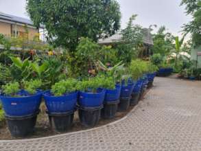 An abundant crop.