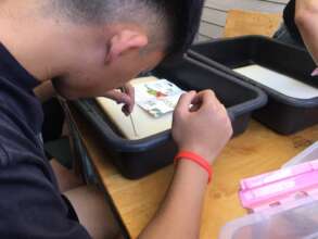 Teaching students to place seeds for germination.