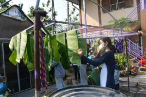 Drying the banana leaves to use in cooking