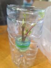 Planting Seeds of Hope!!