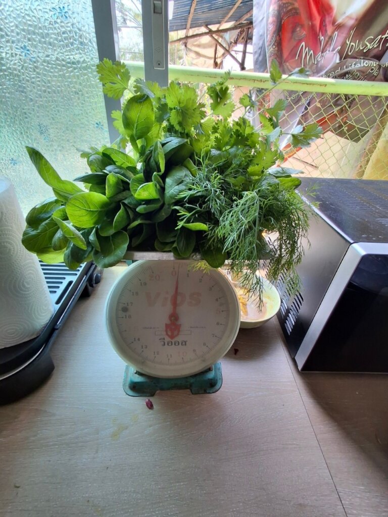 Healthy plants