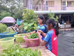 We have many helpers