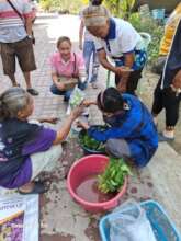 Selling our small crop