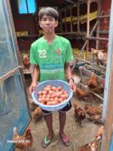 A morning egg collection.
