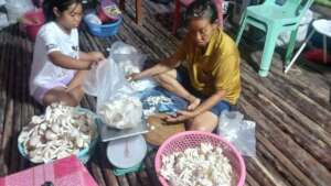 Packing mushrooms for sale