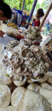Packed to feed the poor