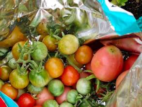 Fruit of our labor!!