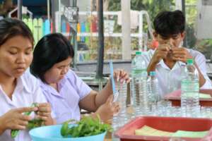 Young Adults Learning Skills!!