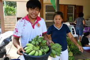 Loads of bananas!