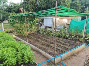 The new garden in the slum.