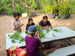 Young girls learning how to grow cuttings