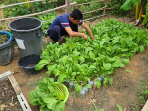 Tending a small patch of the garden.