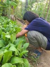 A young girl rescued from abuse joins the program