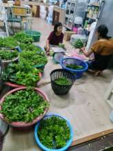 Preparing produce from our original garden