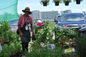 Selling plants at Oktoberfest