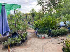 The garden Waan has created all by herself.