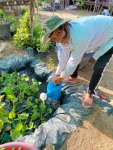 She created an artificial pond for a water source