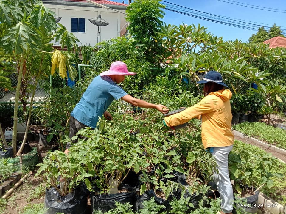 Garden to Market- Helping the poor to grow food!
