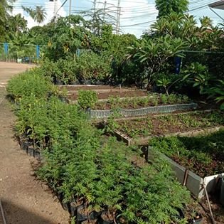 Garden to Market- Helping the poor to grow food!