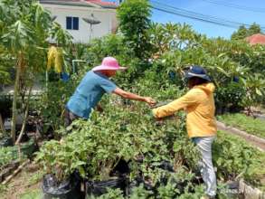 Training unemployed people to grow food.