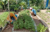 Garden to Market- Helping the poor to grow food!