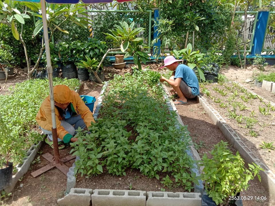 Garden to Market- Helping the poor to grow food!