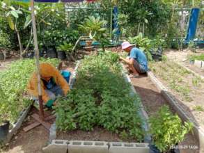 Garden to Market- Helping the poor to grow food!