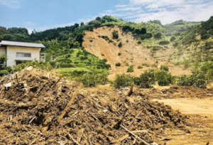 Orange field in the landslide