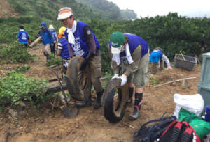 Improvement of the farm that suffered damage