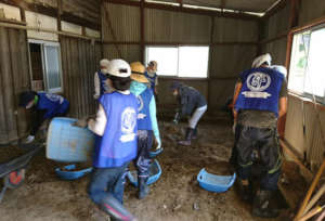 Volunteers doing mud on the workplace