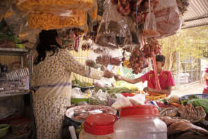 Somanea now actively helps at home and in the shop