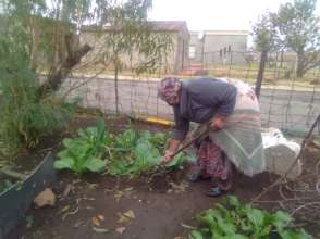 Enamel tending to her garden