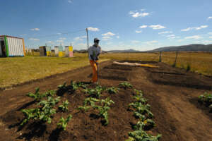 Vegetable garden at a ECD centre we work with