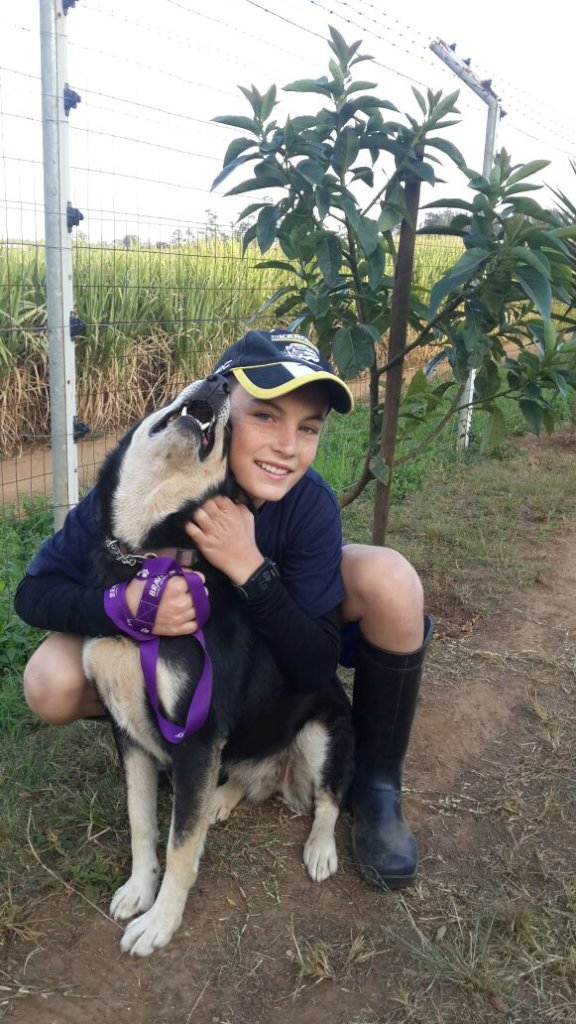 New Lease For Husky Rescue KZN, ZAR