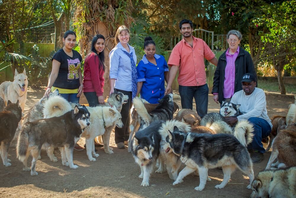 New Lease For Husky Rescue KZN, ZAR